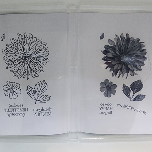 Stampin' Up! 'Delicate Dahlias' 12 pc acrylic stamp set - Picture 2 of 4